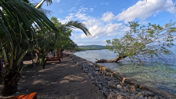 A beach with a wooden bench, palm trees, and a clear view of the water. - Maryan Moyo Bungalows and resto (Moyo)