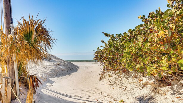 A sandy beach path with vegetation on either side. - Steps to Shore: Walkable Clearwater Beach Condo (Clearwater)