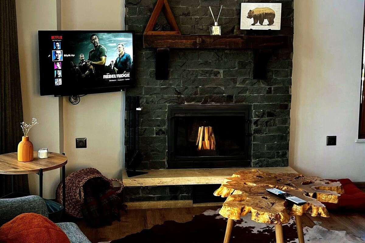 Una sala de estar con chimenea de piedra, un trofeo de cabeza de venado montado, un televisor de pantalla plana y un tapete de cuero de vaca.