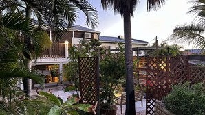 Une cour avec une clôture en bois, des plantes en pot et un banc.