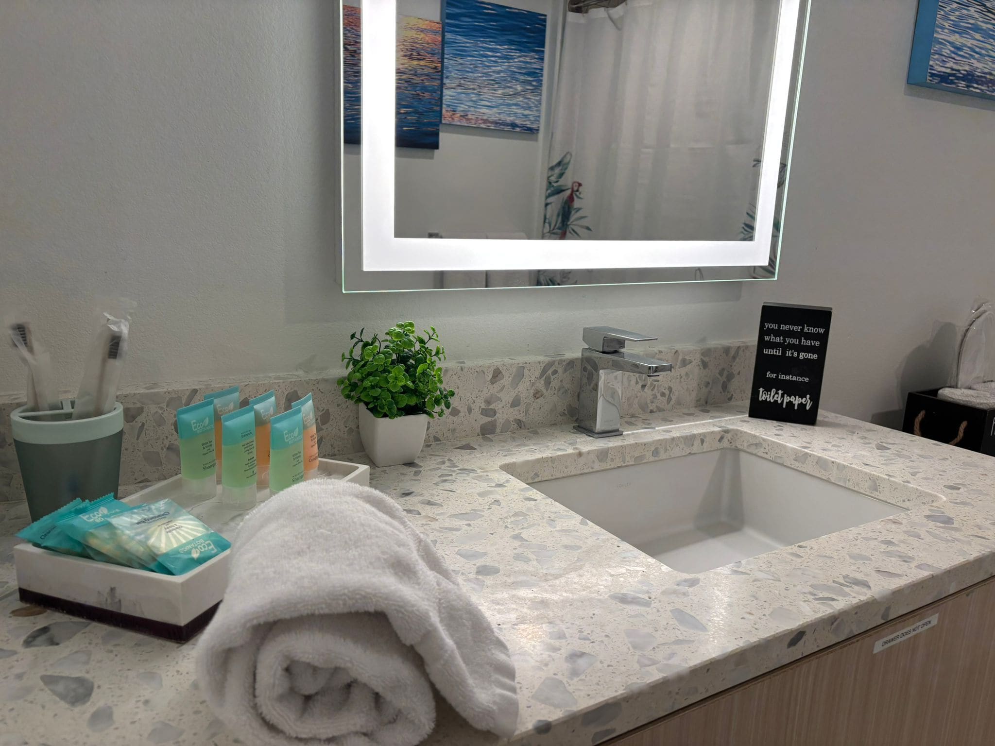 A bathroom with a white sink, a mirror, a potted plant, and toiletries.