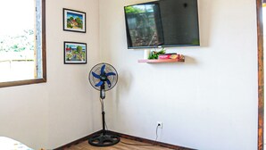 A room with a TV mounted on the wall, a standing fan, and two framed pictures.
