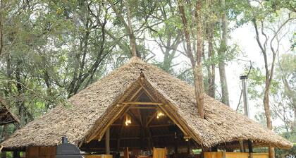 The Giraffe Cottage