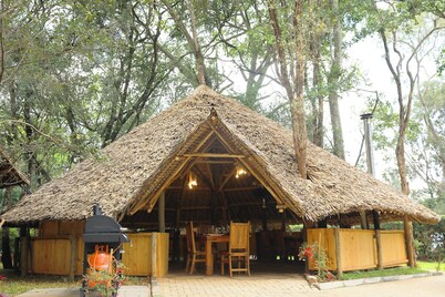 The Giraffe Cottage