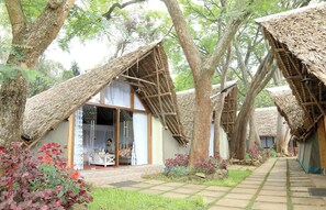 Exterior