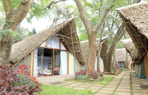 The Giraffe Cottage