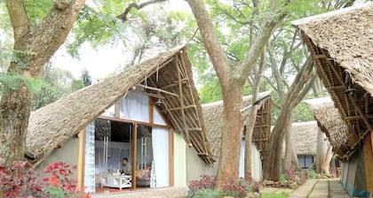 The Giraffe Cottage