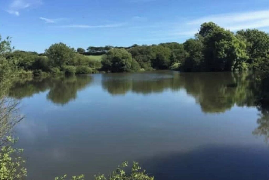 A calm lake surrounded by dense trees and greenery.