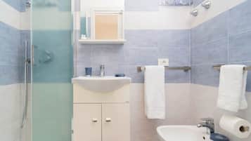 Shower, hair dryer, bidet, towels