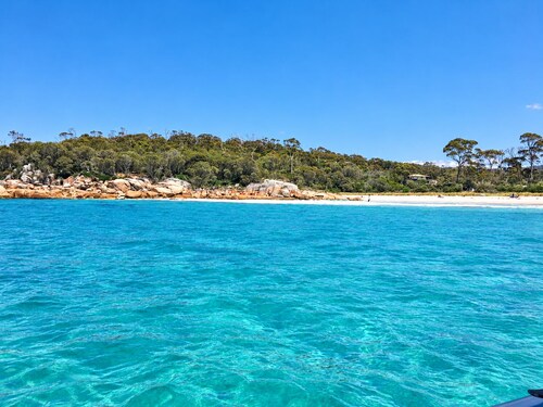 Lichen Villa Bay of Fires  - Binalong Bay beach is at your doorstep