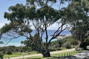 Una strada costiera con alberi e vista sul mare.