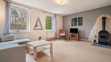 Una televisión, una chimenea, una mesa de tenis de mesa