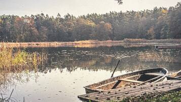 A calm lake with boats docked, surrounded by dense trees and reeds.