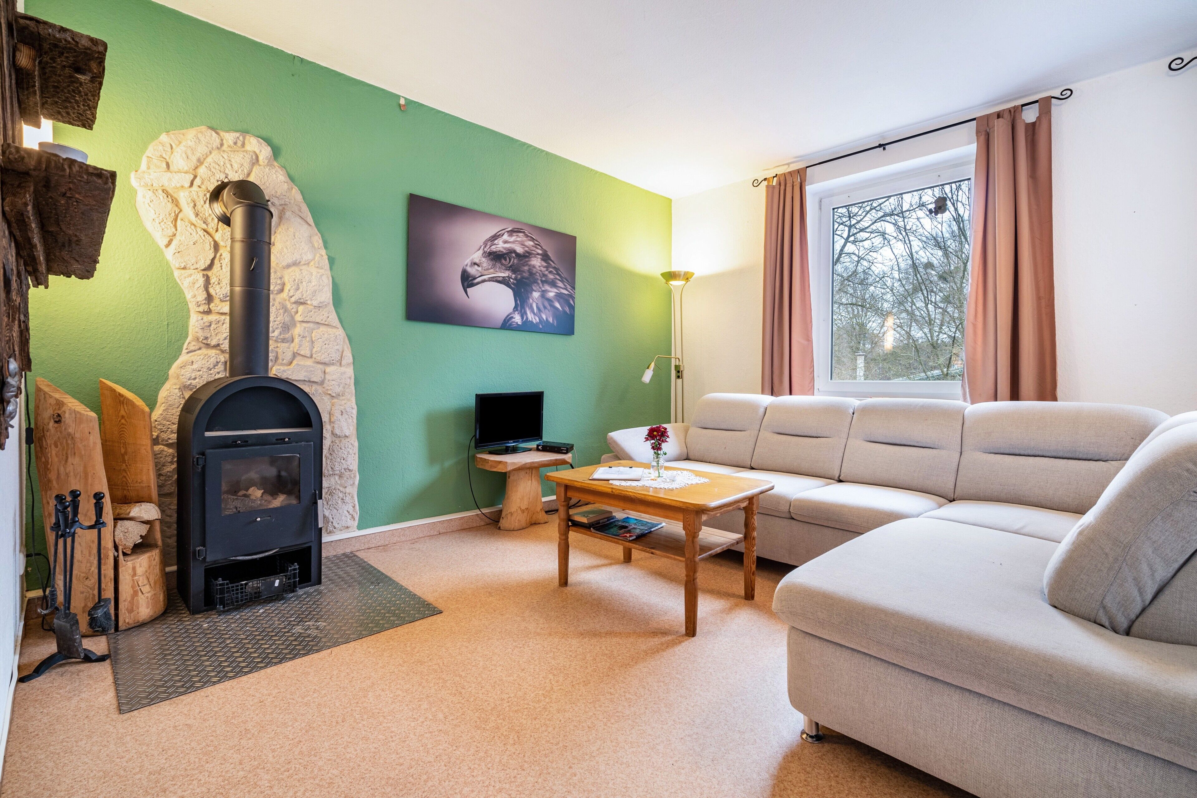 テレビ、暖炉、卓球台