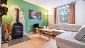 TV, fireplace, ping pong