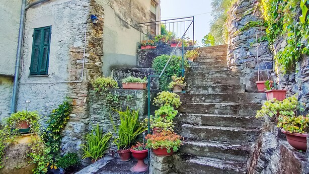 A narrow alley with stone steps leading to a building, surrounded by potted plants and greenery. - Nonna Lena by Interhome (Molini di Prelà)