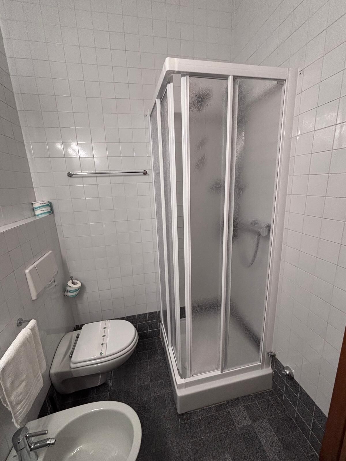 Een kleine badkamer met douchecabine, toilet en wastafel.
