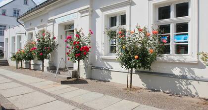 Idyllic location with its own garden - Dat Bienenhuus