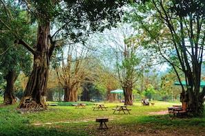 Park view