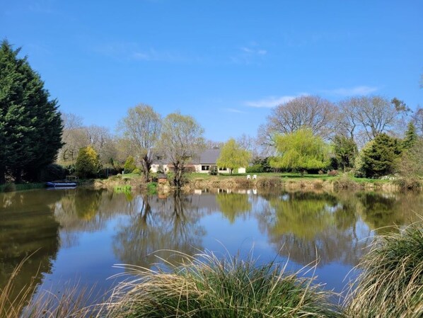 Un lac paisible, avec une maison et des arbres en arrière-plan.