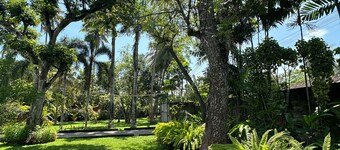 Mango Tree Villa