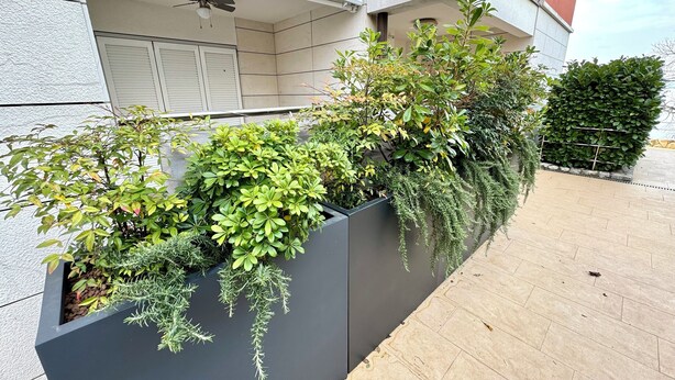 Un edificio moderno con fachada gris, un balcón con ventilador de techo y una variedad de plantas verdes en una jardinera.
