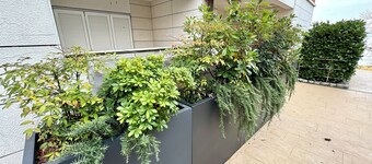 Apartment Golden Sun