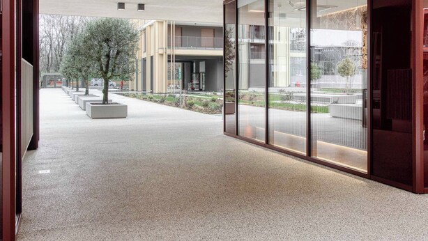 Ein moderner Gebäudeeingang mit Glasfassade, einem Betonweg und einem kleinen Baum.