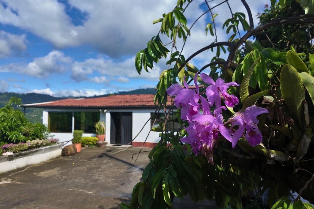 Un bâtiment avec un toit rouge, entouré de verdure et de fleurs violettes.