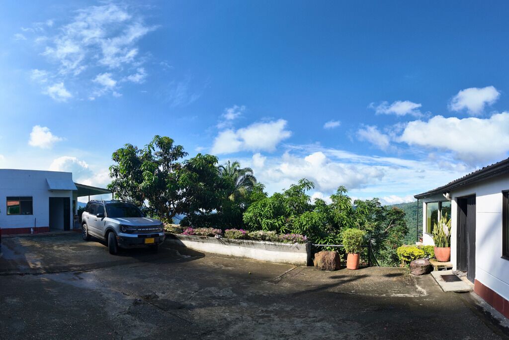 A parking area with a white building, a parked SUV, and a garden with various plants.