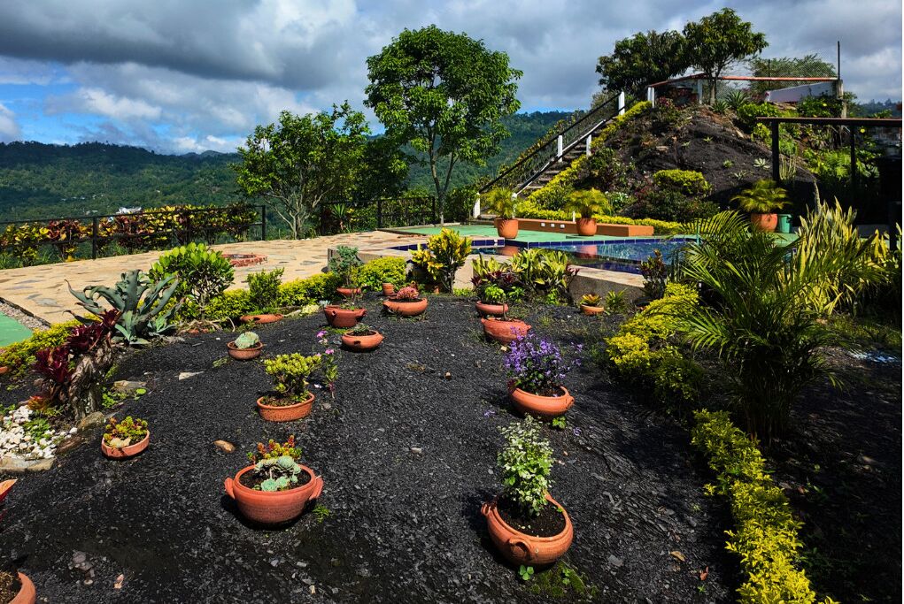 A rooftop garden with terracotta pots arranged in a circular pattern, surrounded by lush greenery and a view of a mountainous landscape.