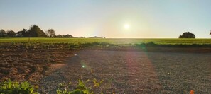 A rural landscape with a dirt path leading through fields, a clear sky, and a distant tree line. - LA CHABEAUDIE (Limoges)