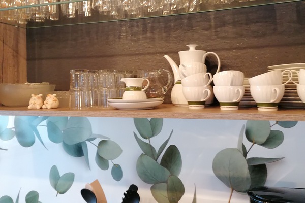 Microones, placa de cuina i rentaplats