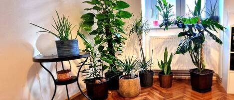 Appartement, 1 chambre, fumeur, vue ville | Intérieur