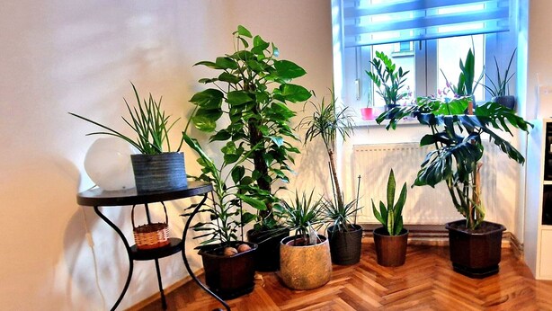 Apartment, 1 Bedroom, Smoking, City View | Interior - Charming 50m2 Apartment in Zagreb City Center (Zagreb)
