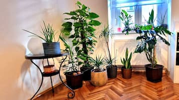 Apartamento, 1 quarto, para fumantes, vista para a cidade | Parte interna