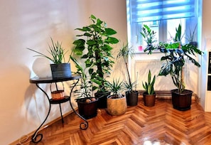 Apartment, 1 Bedroom, Smoking, City View | Interior