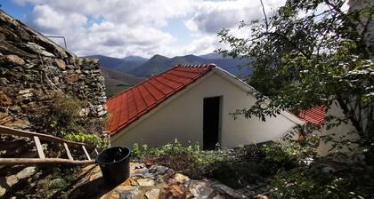 3 bedroom house in lovely Cepos, perfect for Families and digital nomads