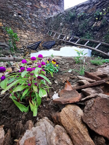 3 bedroom house in lovely Cepos, perfect for Families and digital nomads