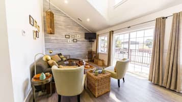 TV, fireplace, DVD player, books