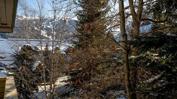 A view of a snowy landscape with trees and mountains in the background.