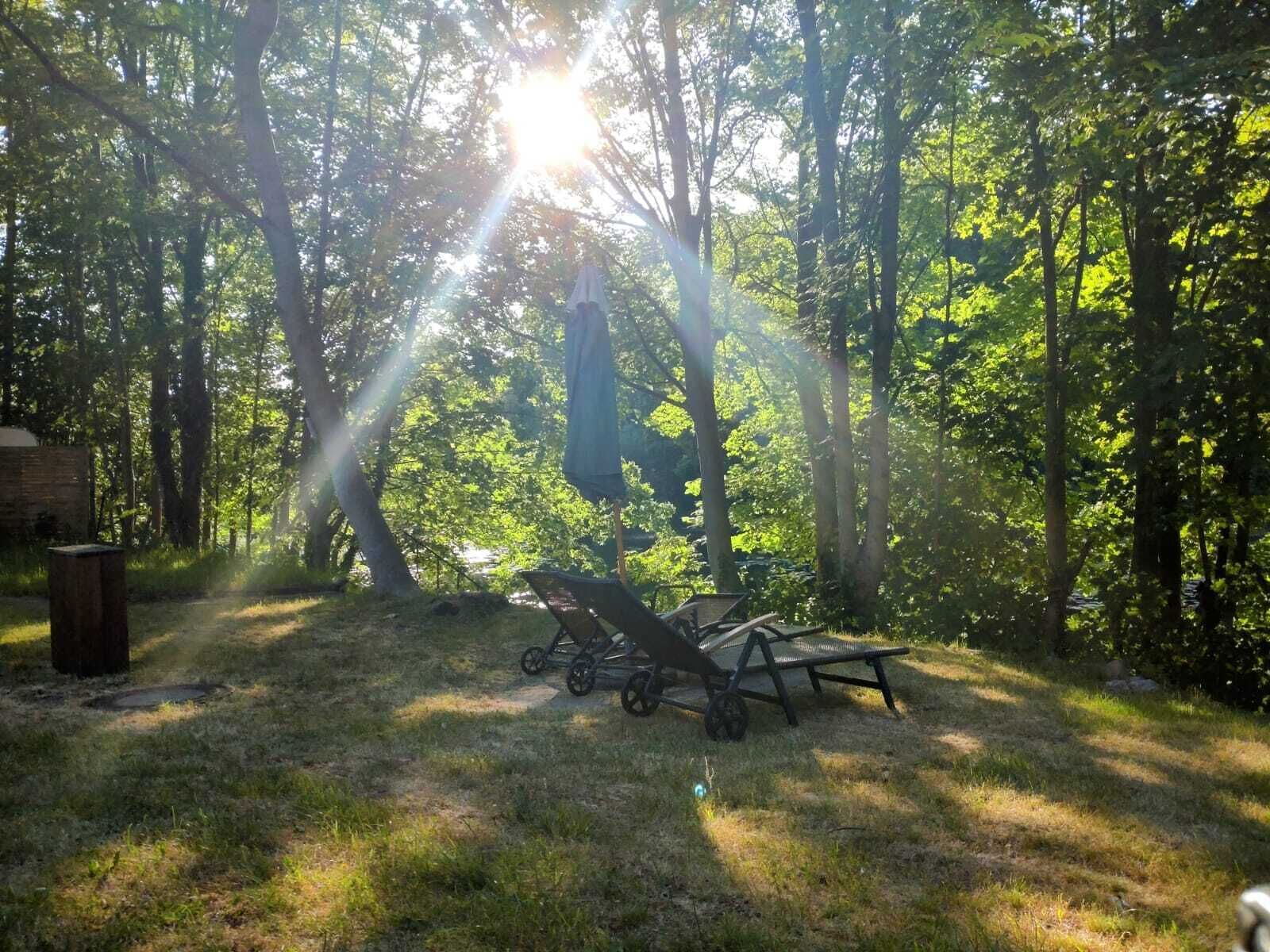 A forested area with a clear path, a bench, and a stroller.