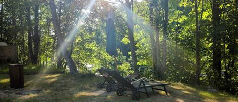 A forested area with a clear path, a bench, and a stroller.