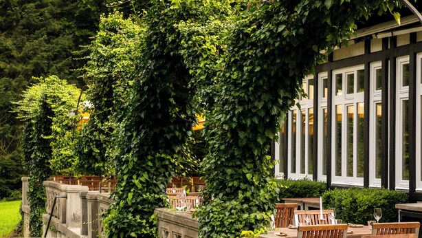 A garden with stone steps leading to wooden tables and chairs, surrounded by lush greenery and a building with large windows.