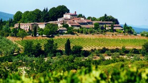 A historic building complex with multiple structures, surrounded by vineyards and trees. - Tuopina Chianti House [AC- Free Parking] (Topina)