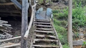 A wooden staircase leading to a covered area with a rustic, natural setting. - Ecolodge Anjomba (Taolagnaro)