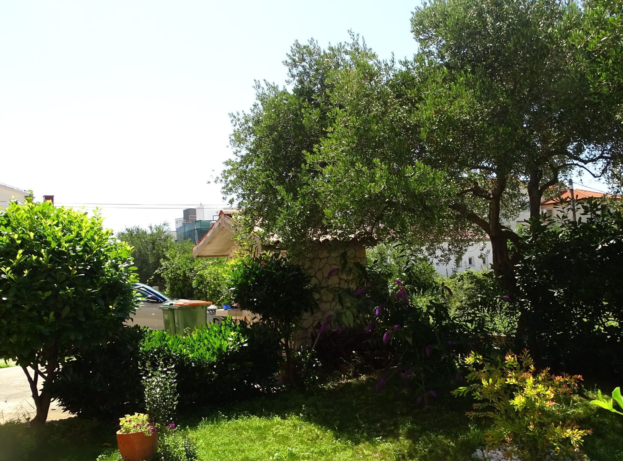 Un jardin avec différentes sortes de plantes et un mur en pierre.