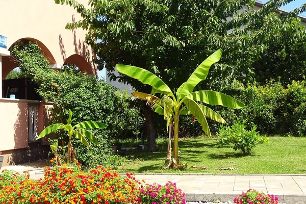 Apartment (One Bedroom Apartment Luna 3) | Exterior
