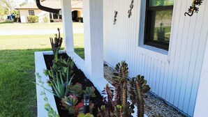 A garden bed with various plants, including cacti, next to a building with a window and decorative wall art.