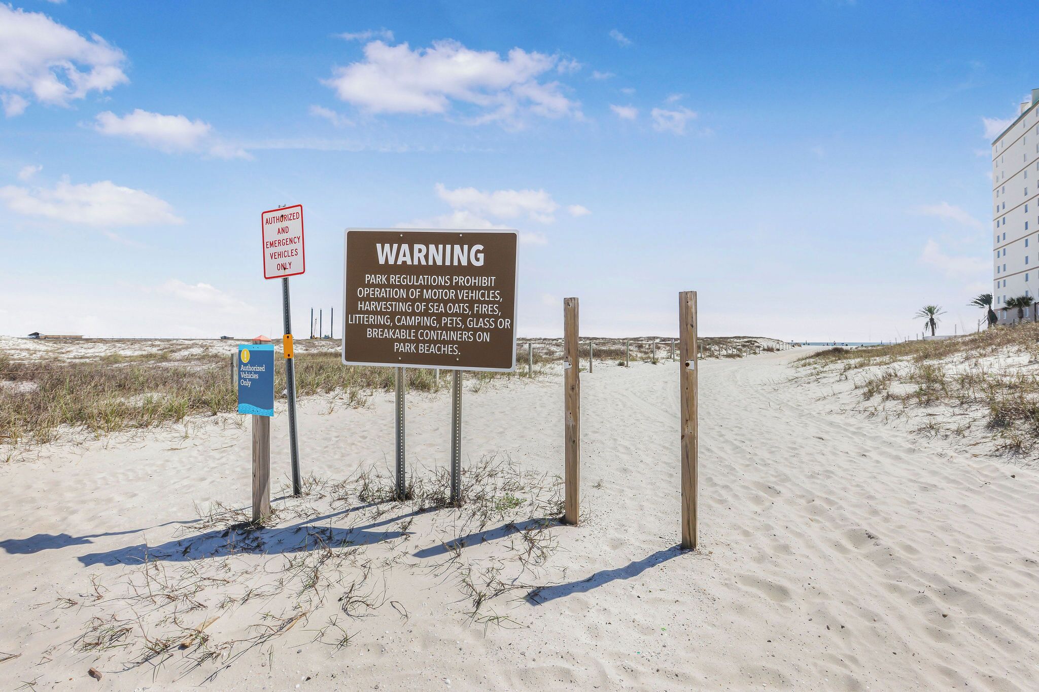Una playa con carteles que indican solo vehículos autorizados y de emergencia, y advertencias contra vehículos, fuegos, basura, campamentos, mascotas, vidrio y recipientes que se rompen fácilmente.